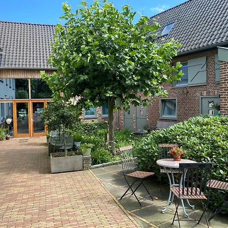 Dalauro Next 에이스