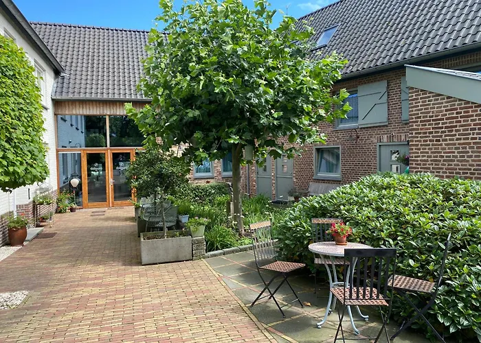 Dalauro Next 에이스