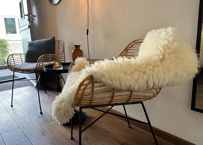 B&B Dalauro Next 에이스