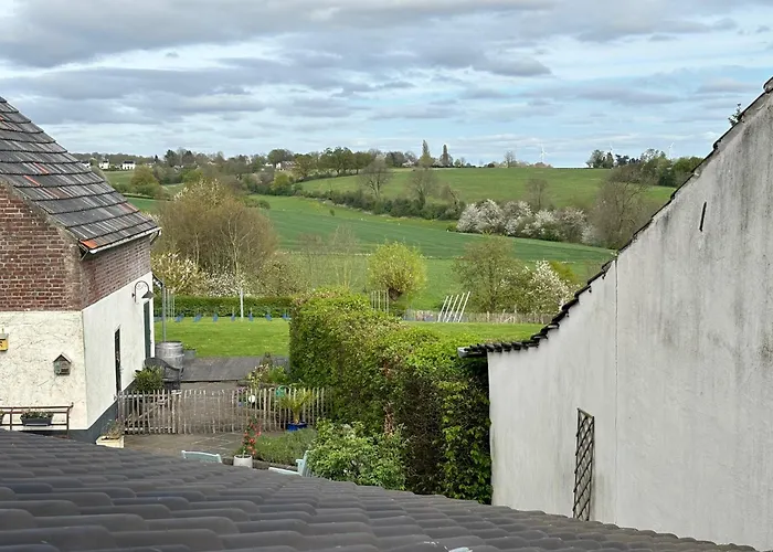 Dalauro Next 에이스