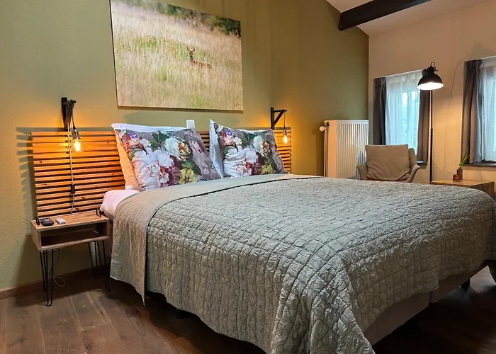 Dalauro Next 3* 에이스