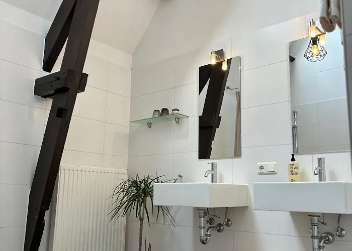 Dalauro Next 에이스