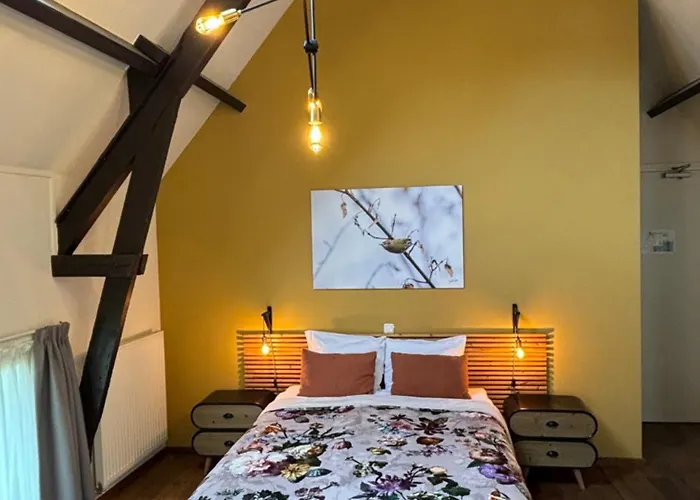 Dalauro Next 3* 에이스