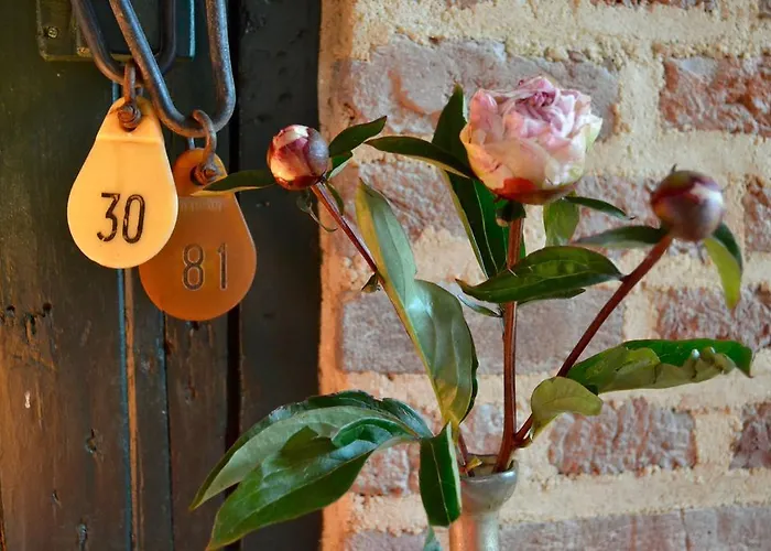 Bed & Breakfast Dalauro Next 3*